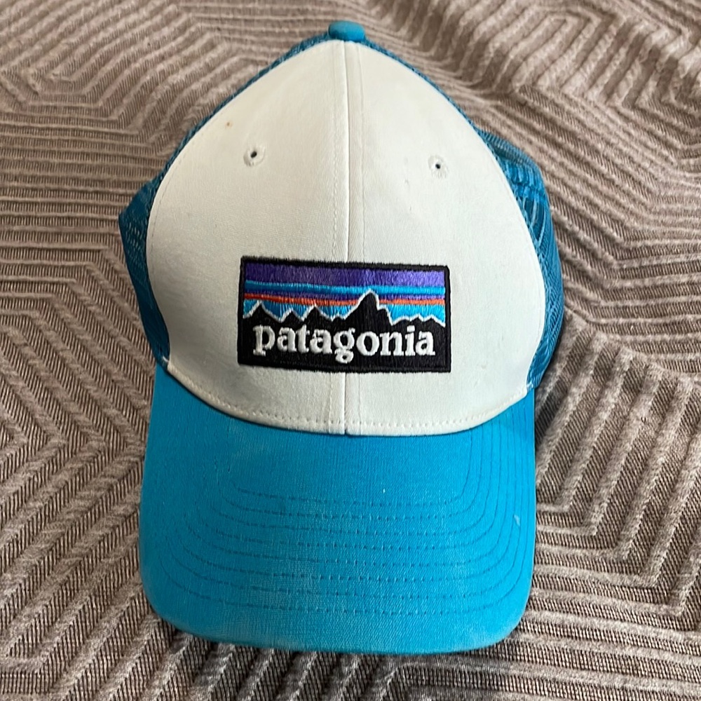 Patagonia baseball cap